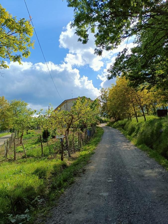 Agriturismo Al Monte San Piero in Bagno Εξωτερικό φωτογραφία
