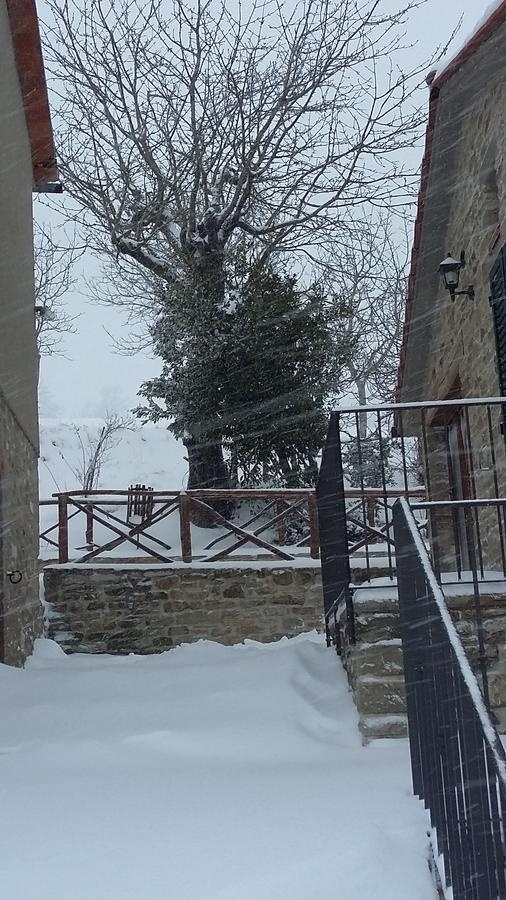 Agriturismo Al Monte San Piero in Bagno Εξωτερικό φωτογραφία